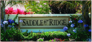 Saddle Ridge La Costa Carlsbad real estate