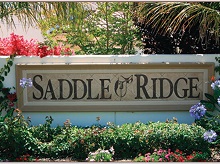 Saddle Ridge Carlsbad Real Estate