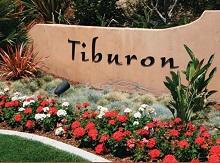 Tiburon La Costa Carlsbad Real Estate