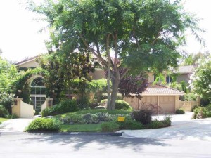 3285 Brookside Ln olivenhain real estate